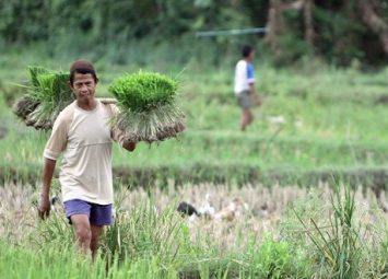 Menghormati Dokter, Meninggikan Petani (Noko Jilid 4)