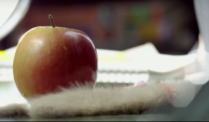 Cinta, Kehidupan dan takdir Tuhan