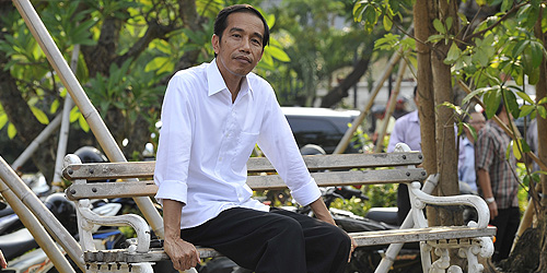 presiden jokowi biasa mendengarkan paduan suara kodok via google