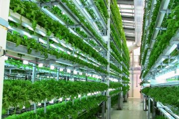vertical farming