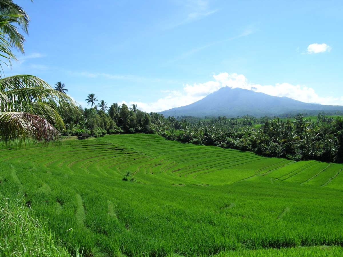 alam-indonesia