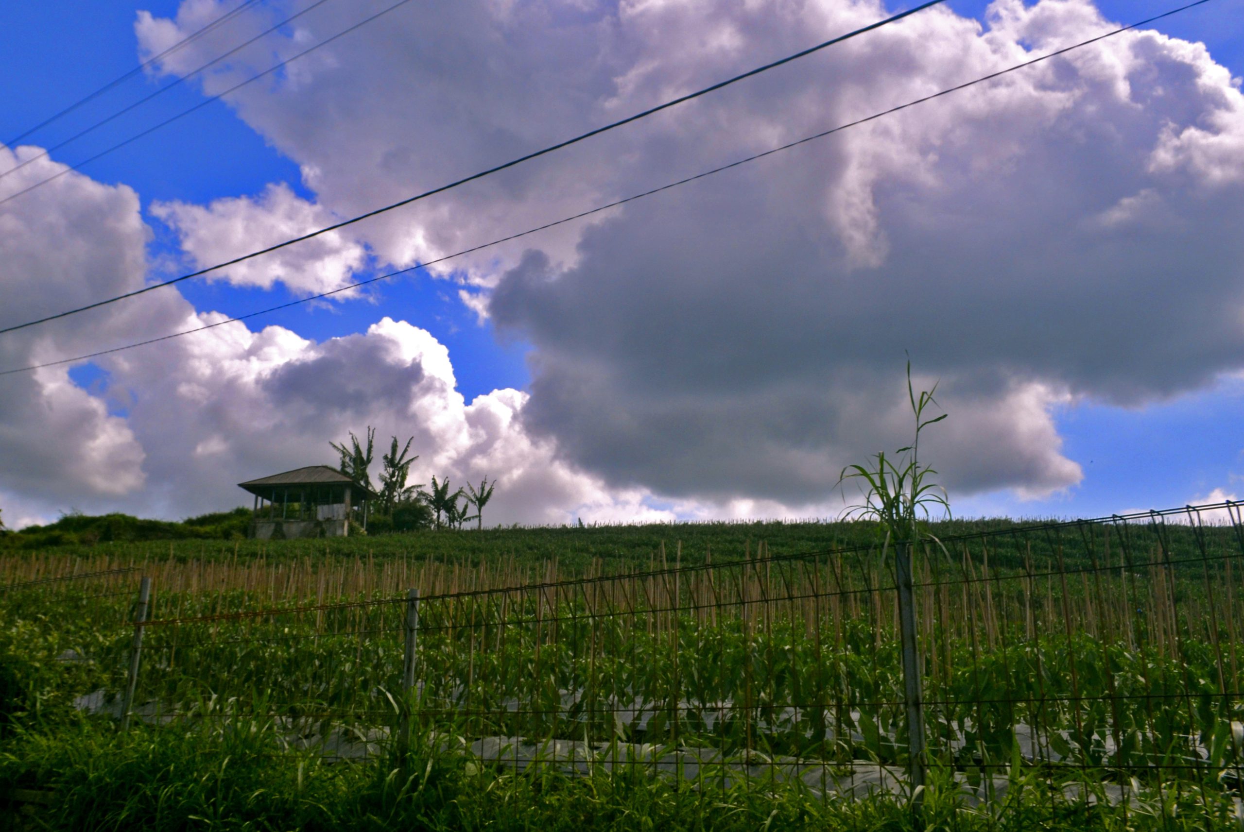 Pemandangan Pegunungan Desa Kalipucang Kecamatan Tutur Kabupaten Pasuruan
